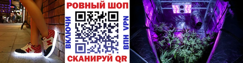 Конопля Новосокольники
