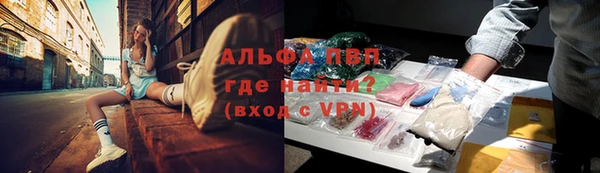 эйфоретик Новокубанск