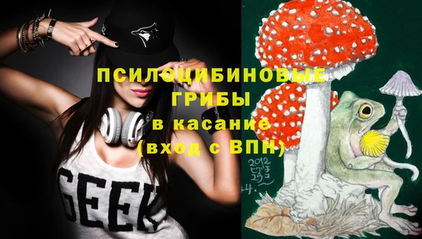 прущая мука Нея