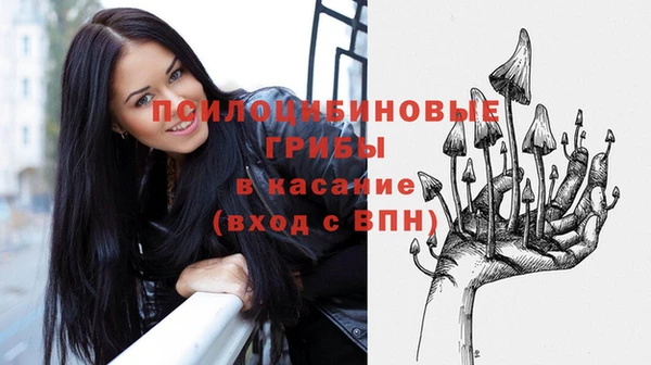 эйфоретик Новокубанск