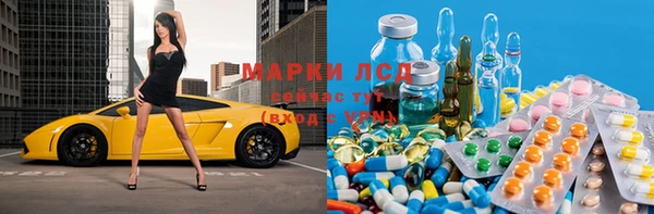прущие грибы Нефтегорск